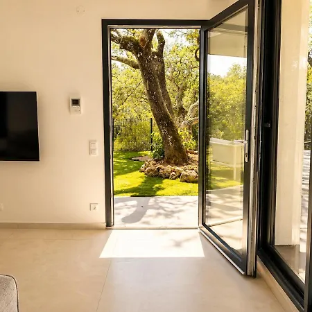 Alando Blue * Saint-Raphael (Var)